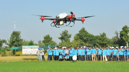 https://viet-thanh.vn/wp-content/uploads/2024/06/8-2.jpg